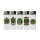 Green Touch Motiv-Feuerzeug, 50er Display