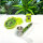 Chill & Enjoy Collection Delux 3in1 Set, 1er Box
