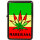Benzin-Feuerzeug "Cannabis" 12er Stand-Display